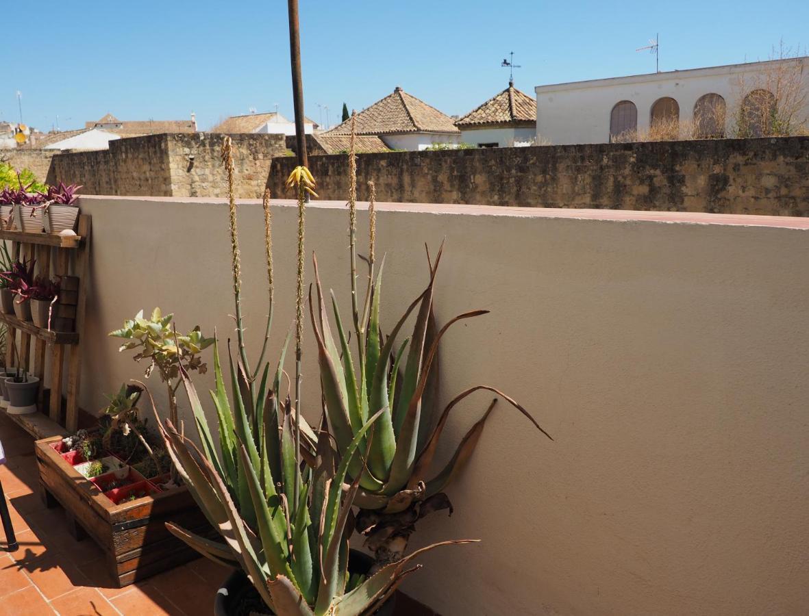 Apartamento En Juderia La Murallita Córdoba Exterior foto